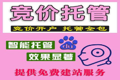 百度竞价托管公司成功案例：打造行业领先品牌